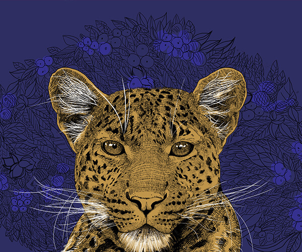 商業(yè)包裝設(shè)計(jì)是什么？