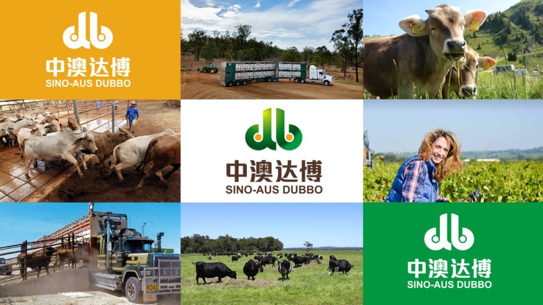 如何才能夠做出一份專業(yè)性的個(gè)性化品牌包裝？