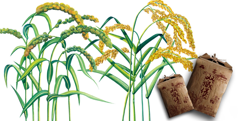 產(chǎn)品包裝設(shè)計的出發(fā)點是什么