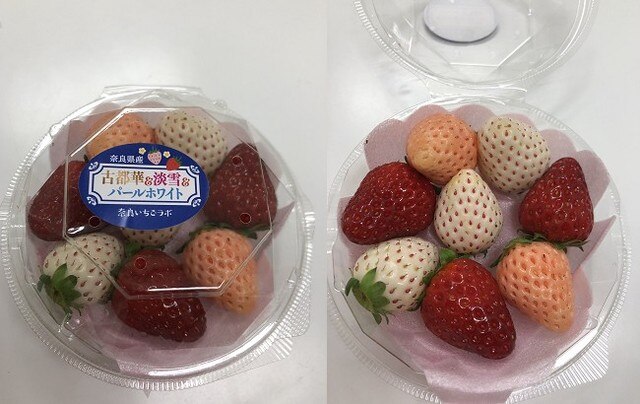 1606787726331753.jpg 1606787726331753.jpg