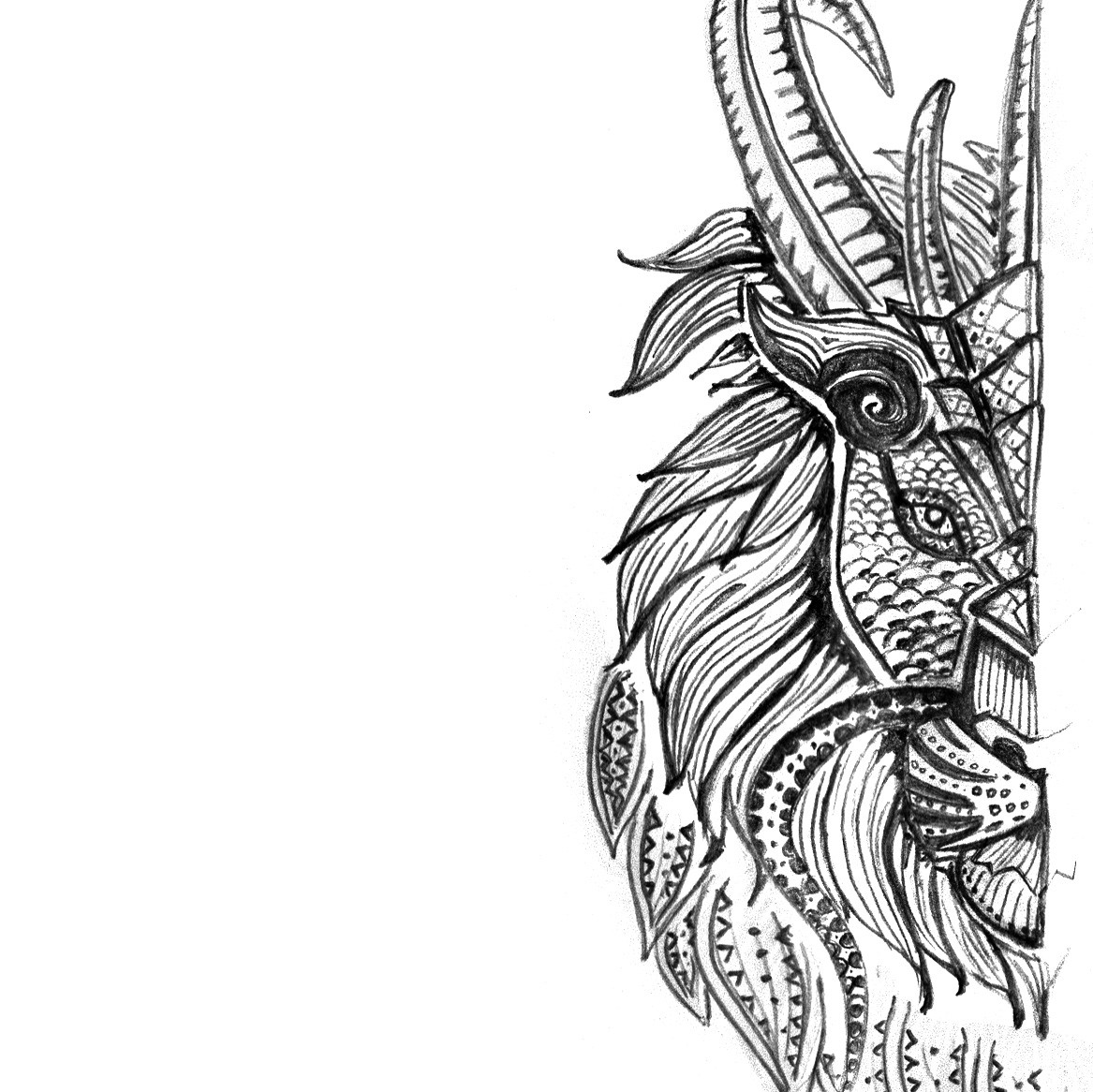 1613632797106217.jpg 1613632797106217.jpg