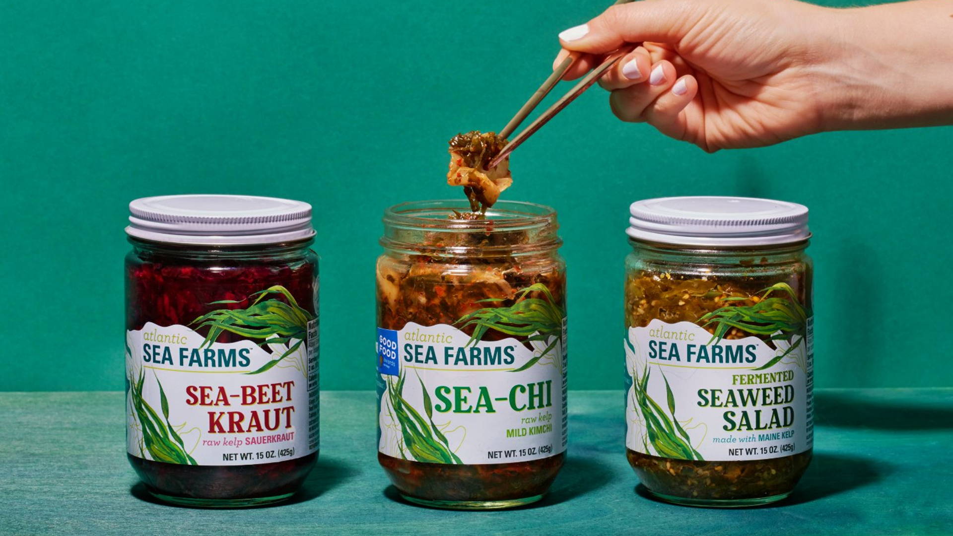 紙+線條使大西洋海洋農(nóng)場的海帶成為表演的明星