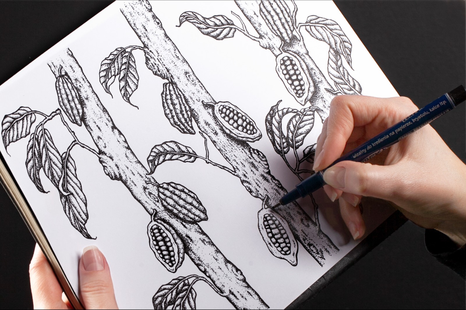 禮盒插畫包裝設(shè)計(jì)