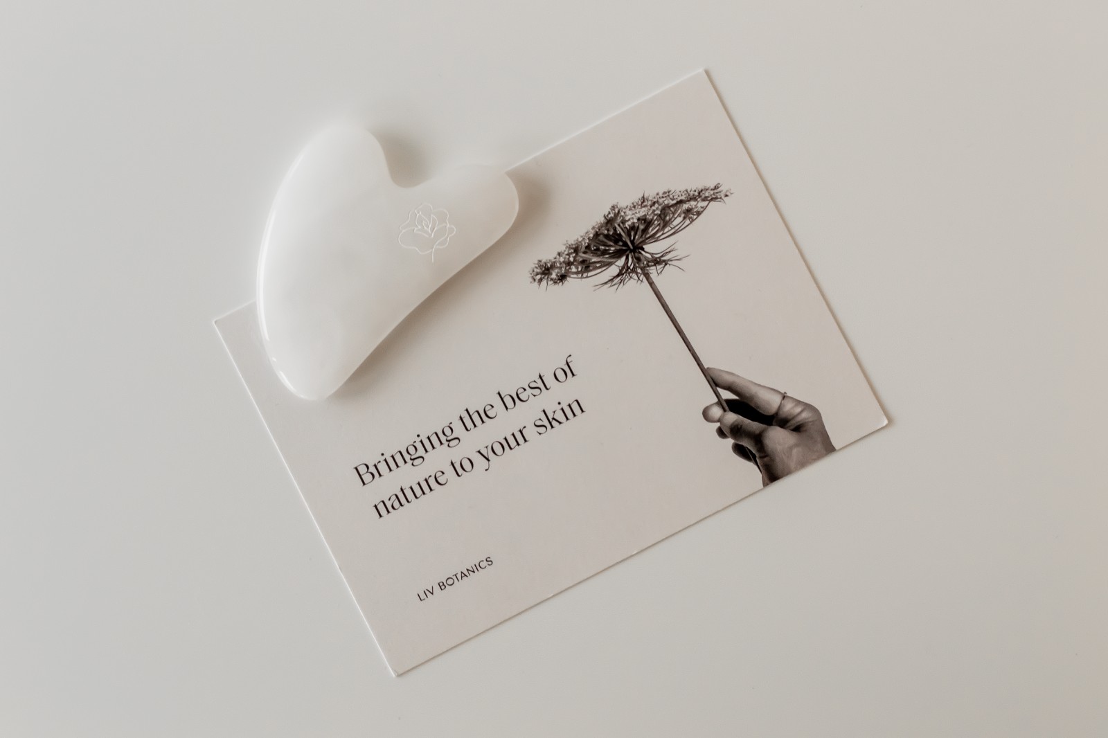 1645064444518167.jpg 1645064444518167.jpg