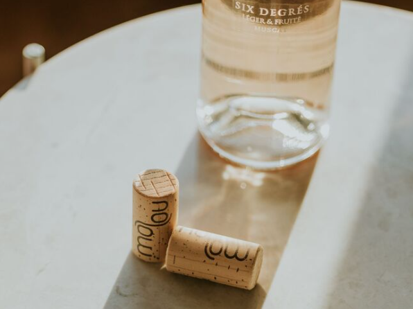 瓶塞密封裝置創(chuàng)新設(shè)計